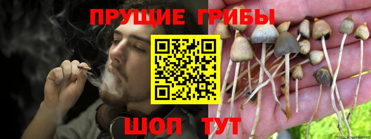 Псилоцибиновые грибы Psilocybe Мелеуз